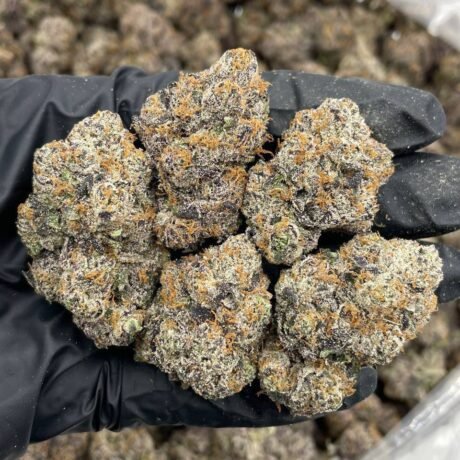 Party Popperz indoors 🥳