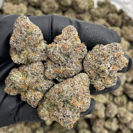 RAINBOW WARHEADZ INDOORS 😤🍭