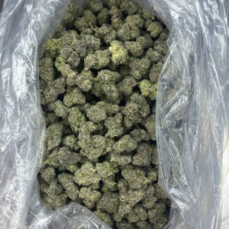 Super pez🔥🔥🔥🔥🔥🔥🔥🔥 🍭🍭🍬🍬